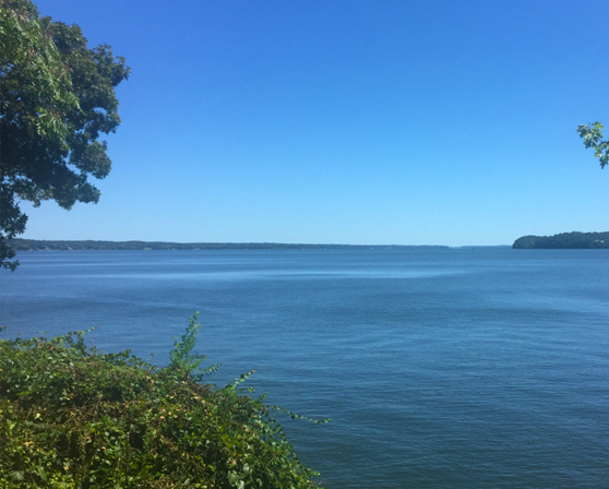 Waterfront lots for sale at The Preserve on Pickwick Lake, starting from $99,900